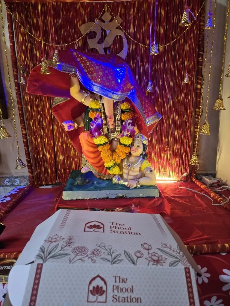 Akash Gupta's festival setup (3)